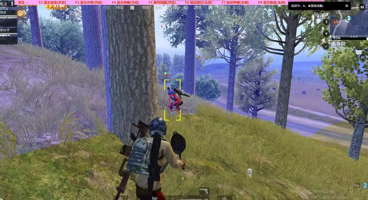 手机和平精英辅助透视